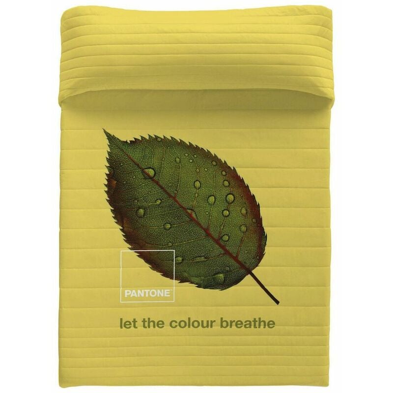 

Pantone Colcha Nature Pantone Cama de 135 (240 x 260 cm)