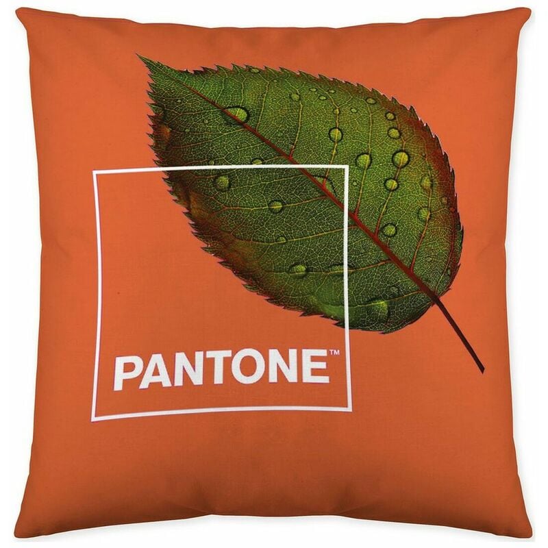

Funda De Cojín Nature Reversible (50 X 50 Cm)
