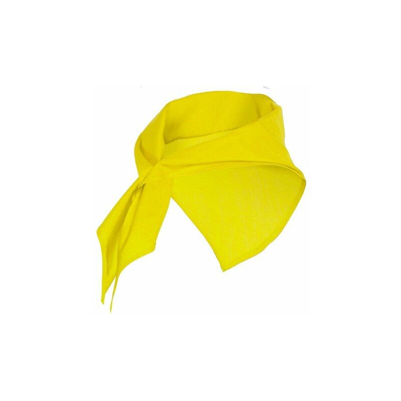 

Roly - Pañuelo de forma triangular JARANERO PN9006 (100 Unds) | Amarillo - UNICA