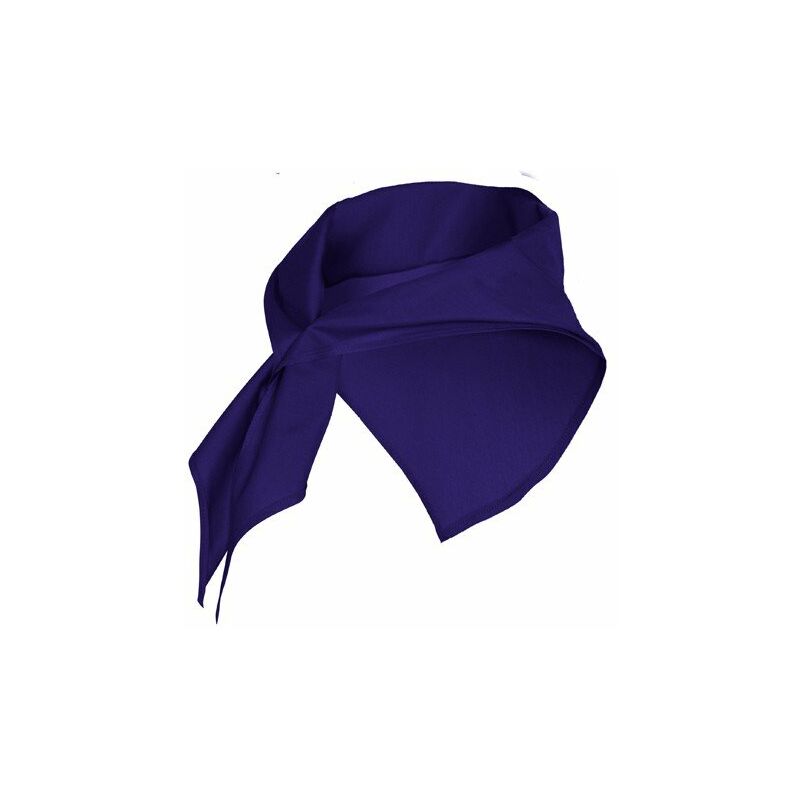 

Roly - Pañuelo de forma triangular JARANERO PN9006 (100 Unds) | Morado - UNICA