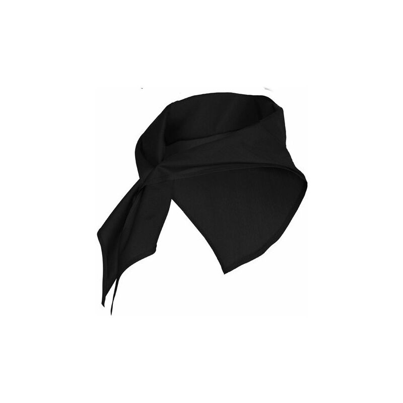 

Roly - Pañuelo de forma triangular JARANERO PN9006 (100 Unds) | Negro - UNICA