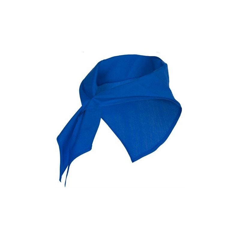 

Roly - Pañuelo de forma triangular JARANERO PN9006 (100 Unds) | Royal - UNICA