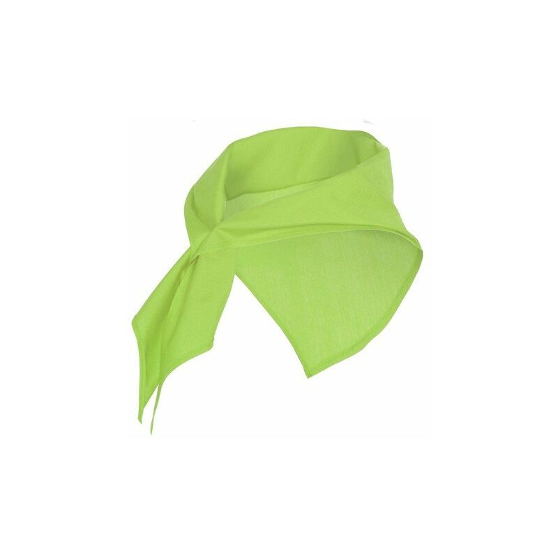 

Pañuelo de forma triangular JARANERO PN9006 (100 Unds) | UNICA - Verde Mantis