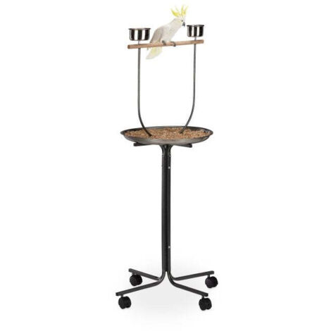 Papageienbarsch mit stander