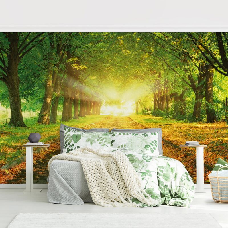 

Papel pintado adhesivo - Autumn Avenue - Mural apaisado Dimensión LxA: 320cm x 480cm