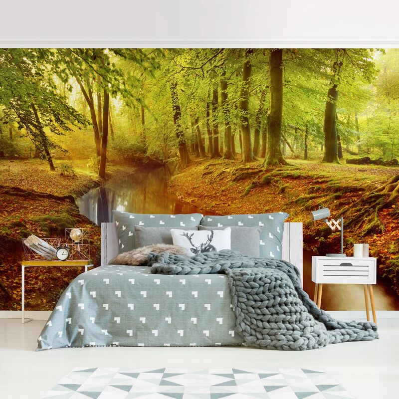 

Papel pintado adhesivo - Autumn Forest - Mural apaisado Dimensión LxA: 225cm x 336cm