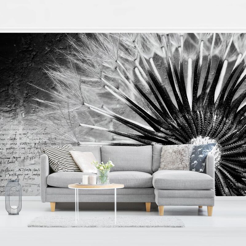 

Papel pintado adhesivo - Dandelion Black & White - Mural apaisado Dimensión LxA: 320cm x 480cm