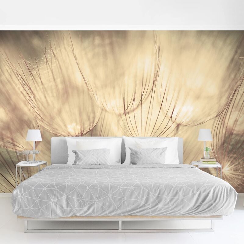 

Papel pintado adhesivo - Dandelions Close-Up In Sepia Tones Homely - Mural apaisado Dimensión LxA: 190cm x 288cm