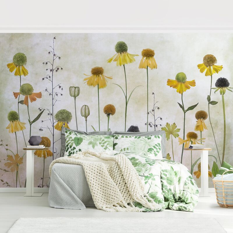 

Papel pintado adhesivo - Delicate Helenium Flowers - Mural apaisado Dimensión LxA: 190cm x 288cm
