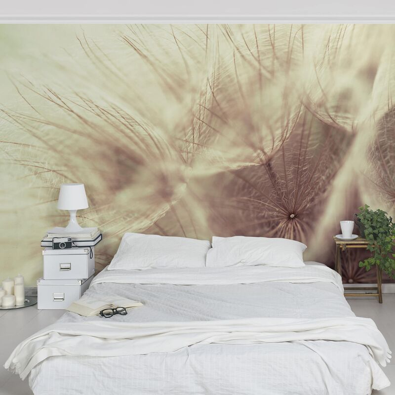 

Papel pintado adhesivo - Detailed And Dandelion Macro Shot With Vintage Blur Effect - Mural apaisado Dimensión LxA: 290cm x 432cm