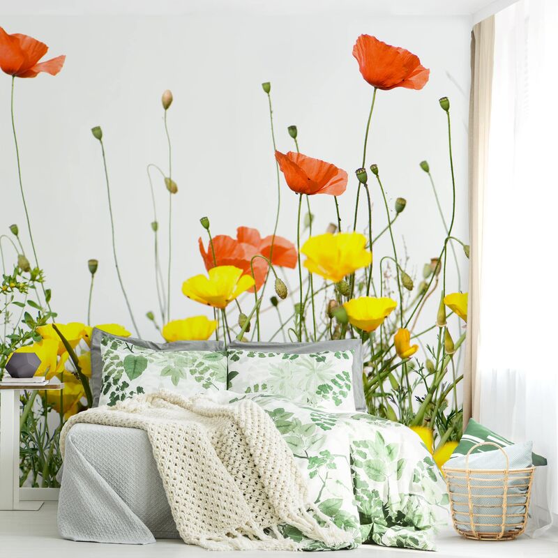 

Papel pintado adhesivo - Duo Of Flowers Part 2 - Mural cuadrado Dimensión LxA: 192cm x 192cm