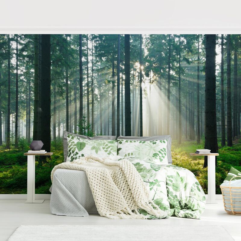 

Papel pintado adhesivo - Enlightened Forest - Mural apaisado Dimensión LxA: 255cm x 384cm