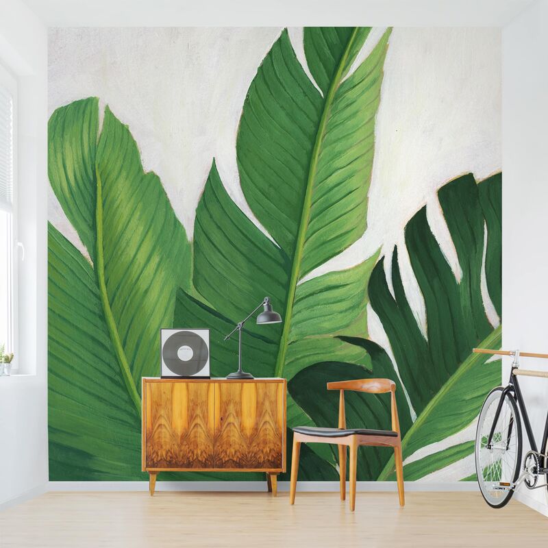 

Papel pintado adhesivo - Favorite Plants - Banana - Mural cuadrado Dimensión LxA: 336cm x 336cm