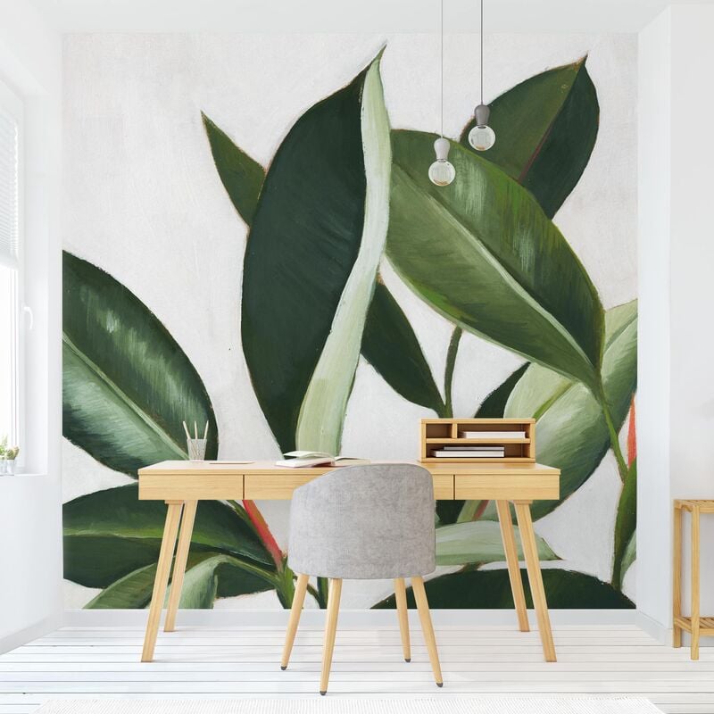 

Papel pintado adhesivo - Favorite Plants - Rubber Tree - Mural cuadrado Dimensión LxA: 336cm x 336cm