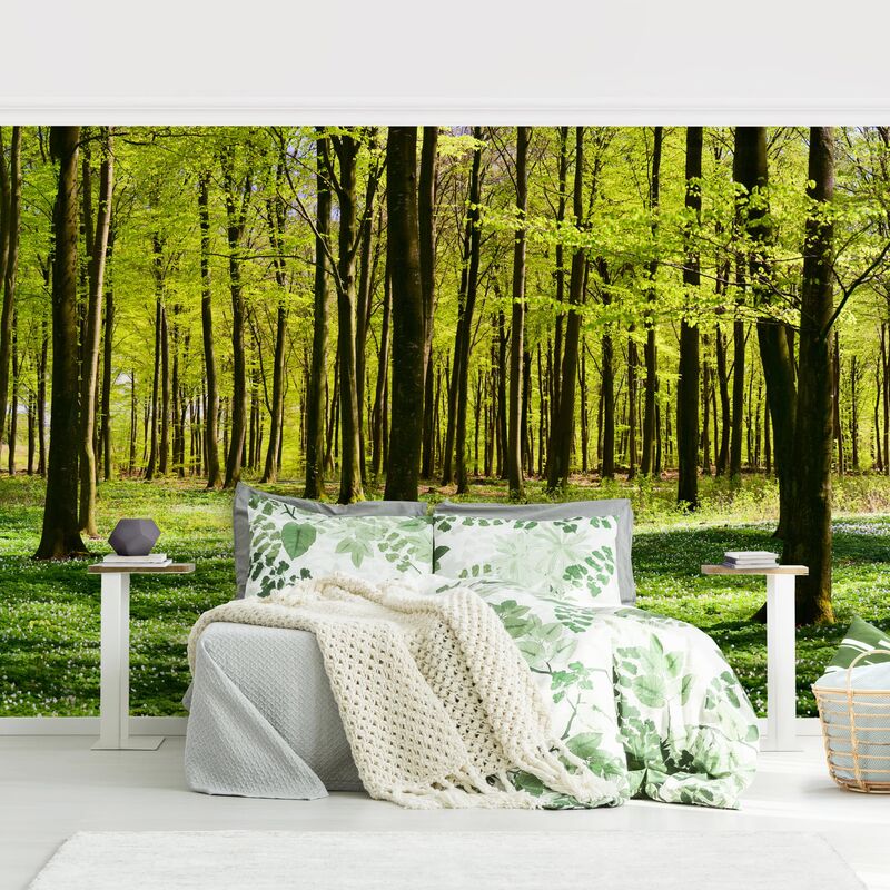 

Papel pintado adhesivo - Glade - Mural apaisado Dimensión LxA: 190cm x 288cm