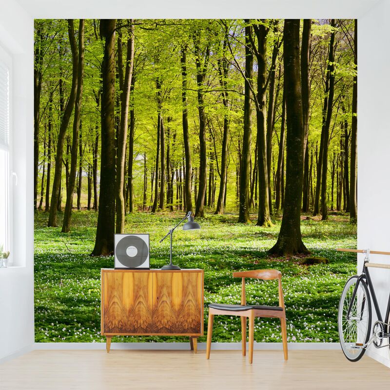 

Papel pintado adhesivo - Glade - Mural cuadrado Dimensión LxA: 288cm x 288cm