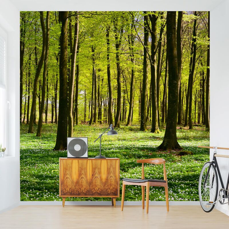 

Papel pintado adhesivo - Glade - Mural cuadrado Dimensión LxA: 240cm x 240cm
