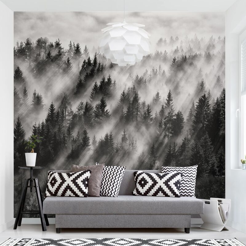 

Papel pintado adhesivo - Light Rays In The Coniferous Forest - Mural cuadrado Dimensión LxA: 336cm x 336cm