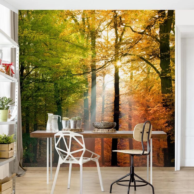 

Papel pintado adhesivo - Morning Light - Mural cuadrado Dimensión LxA: 192cm x 192cm