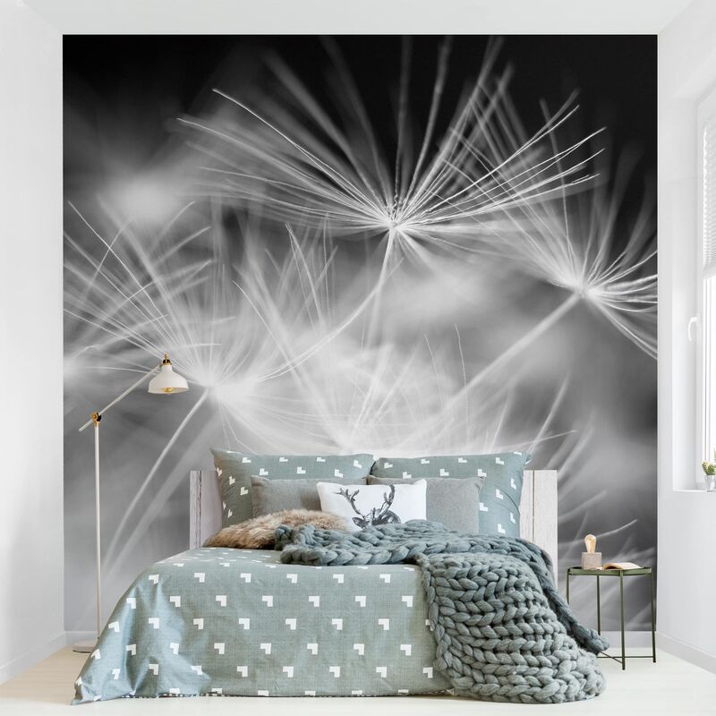 

Papel pintado adhesivo - Moving Dandelions Close Up On Black Background - Mural cuadrado Dimensión LxA: 336cm x 336cm