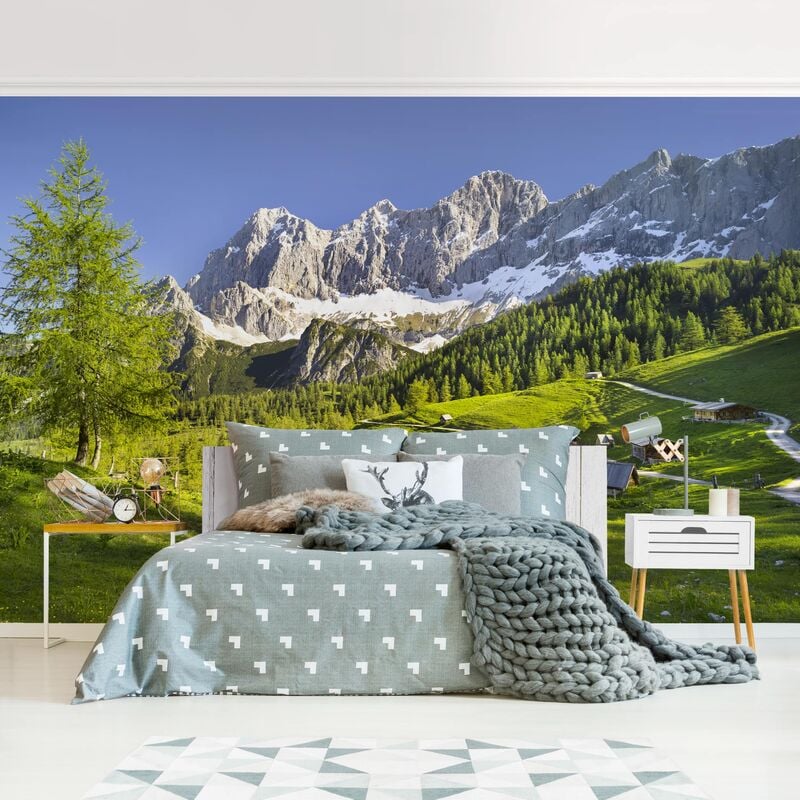 

Papel pintado adhesivo - Styria Alpine Meadow - Mural apaisado Dimensión LxA: 225cm x 336cm