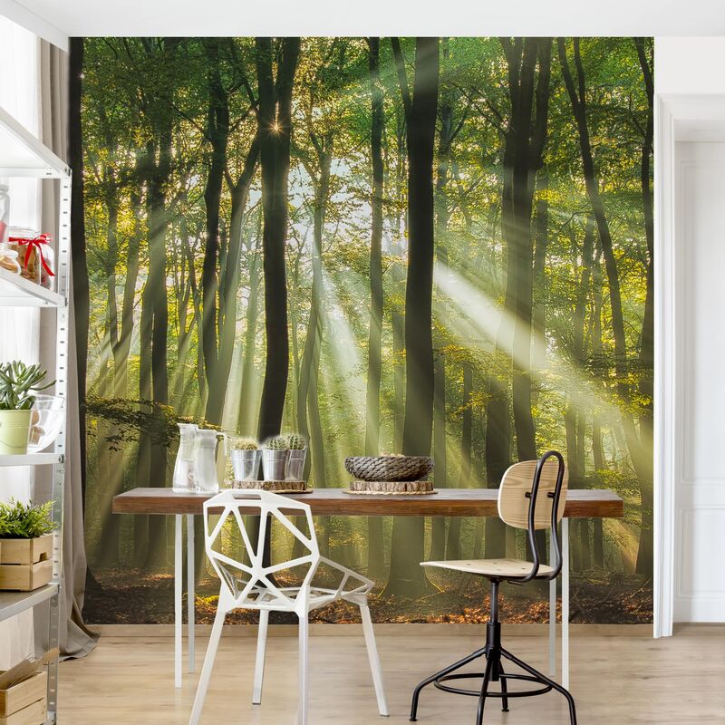 

Papel pintado adhesivo - Sunny Day In The Forest - Mural cuadrado Dimensión LxA: 336cm x 336cm