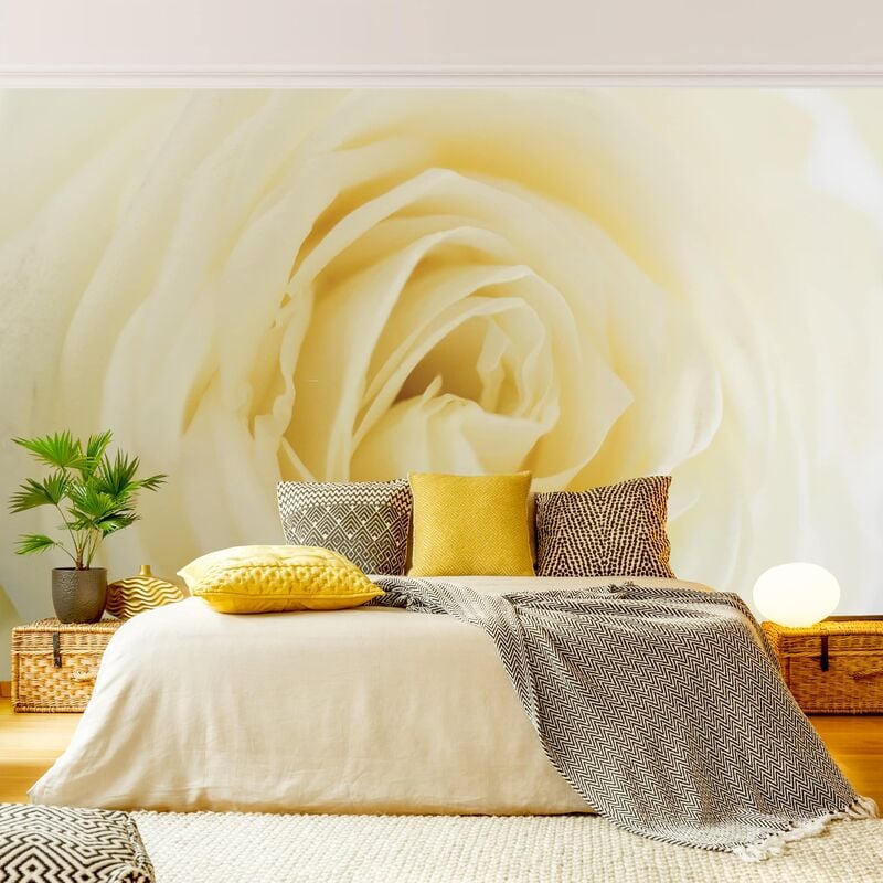 

Papel pintado adhesivo - White Rose - Mural apaisado Dimensión LxA: 255cm x 384cm