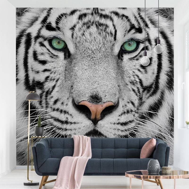 

Papel pintado adhesivo - White Tiger - Mural cuadrado Dimensión LxA: 288cm x 288cm