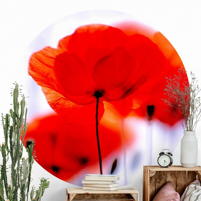

Papel pintado redondo autoadhesivo - Magic Poppies Dimensión LxA: 244cm x 244cm