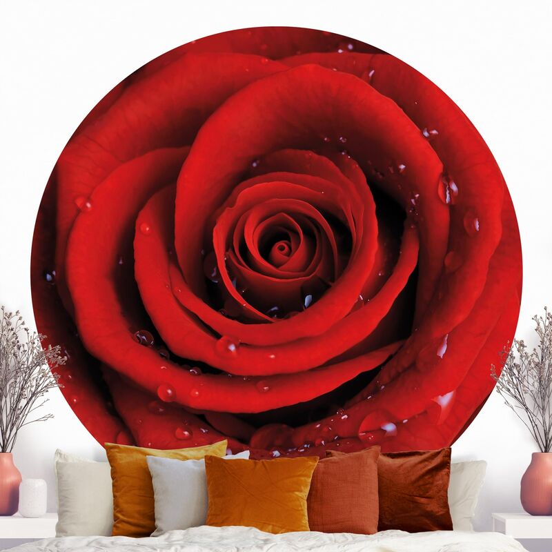 

Papel pintado redondo autoadhesivo - Red Rose With Water Drops Dimensión LxA: 122cm x 122cm