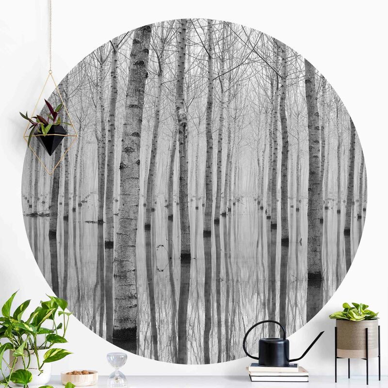 

Papel pintado redondo autoadhesivo - Birches In November Dimensión LxA: 122cm x 122cm