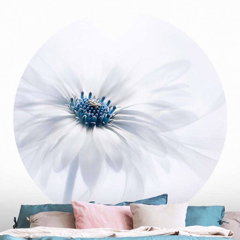 

Papel pintado redondo autoadhesivo - Daisy In Blue Dimensión LxA: 200cm x 200cm