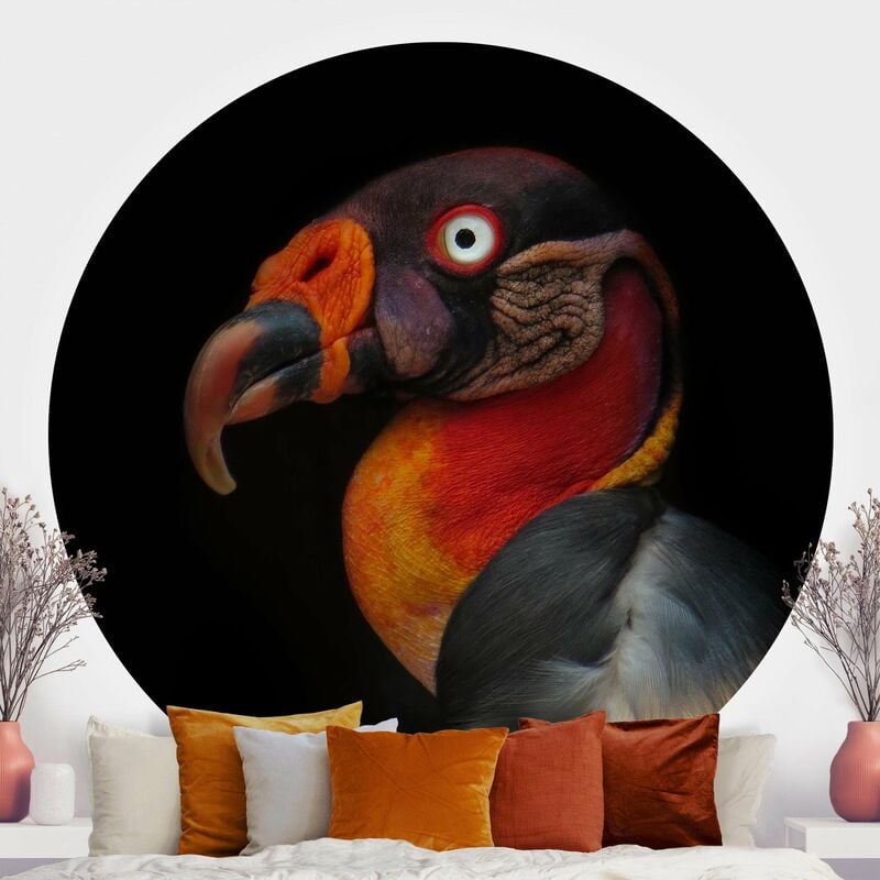

Papel pintado redondo autoadhesivo - King Vulture In Front Of Black Dimensión LxA: 175cm x 175cm