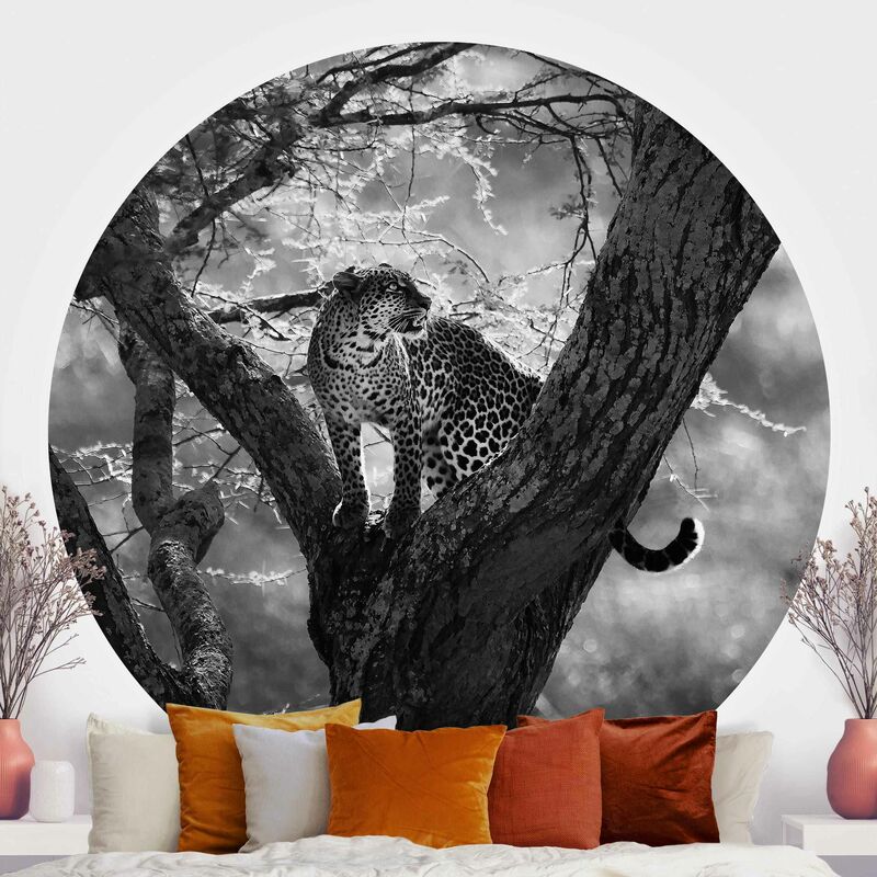 

Papel pintado redondo autoadhesivo - Leopard In The Tree In Black And White Dimensión LxA: 175cm x 175cm