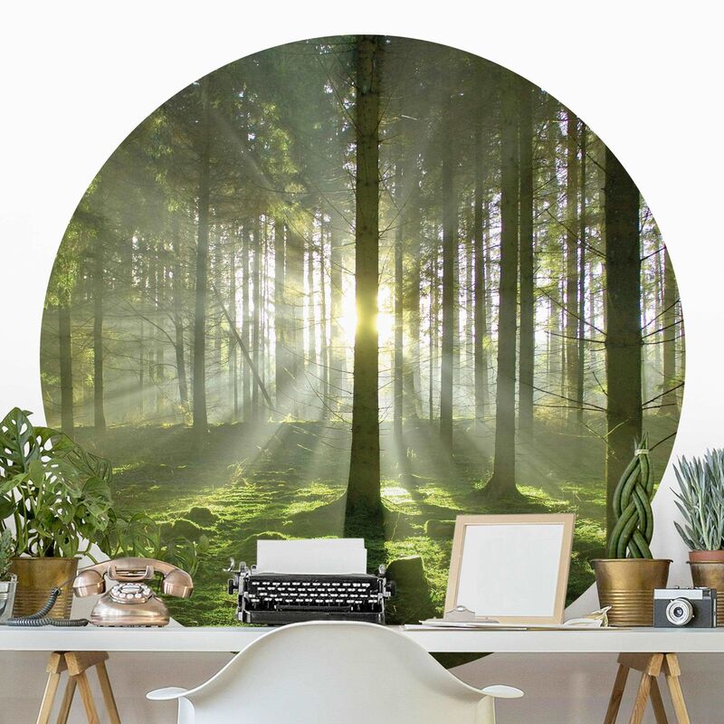 

Papel pintado redondo autoadhesivo - Spring Fairytale Dimensión LxA: 244cm x 244cm
