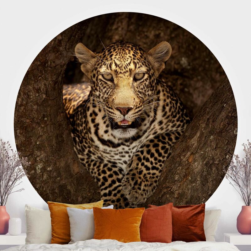 

Papel pintado redondo autoadhesivo - Leopard Resting On A Tree Dimensión LxA: 200cm x 200cm
