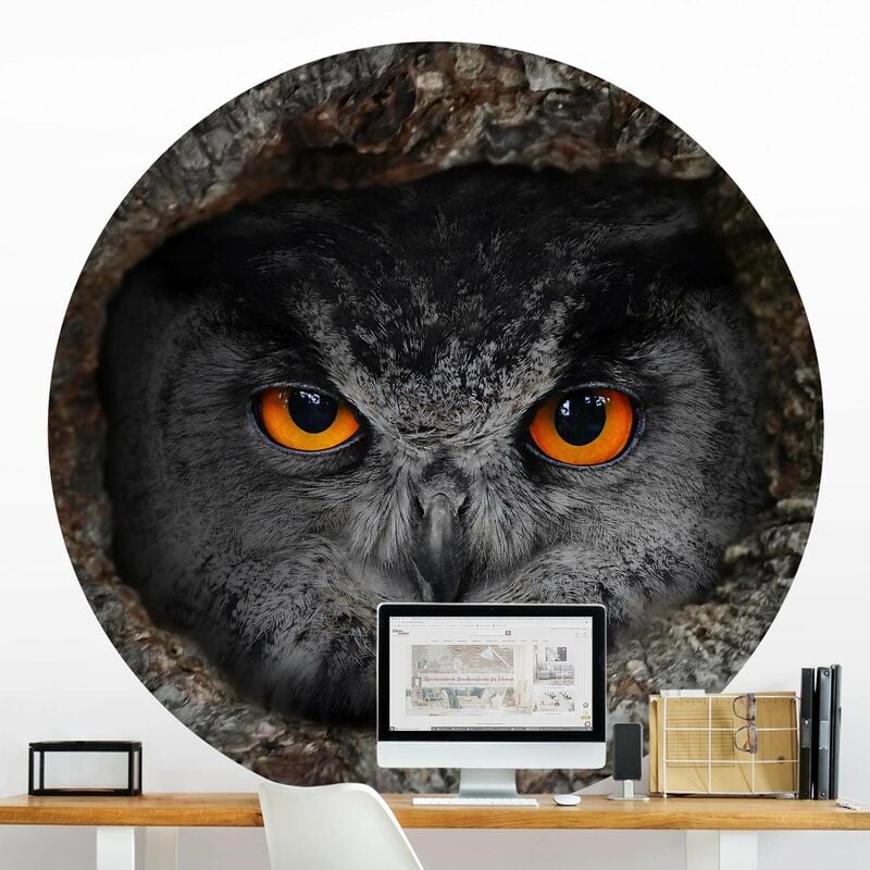 

Papel pintado redondo autoadhesivo - Watching Owl Dimensión LxA: 244cm x 244cm