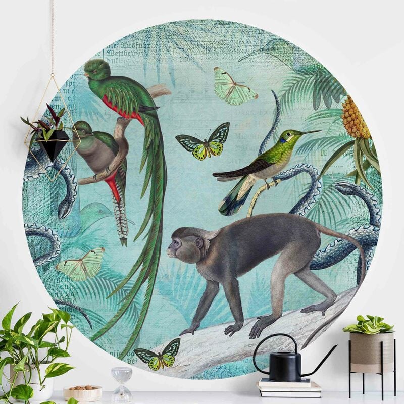 

Papel pintado redondo autoadhesivo - Colonial Style Collage - Monkeys And Birds Of Paradise Dimensión LxA: 244cm x 244cm