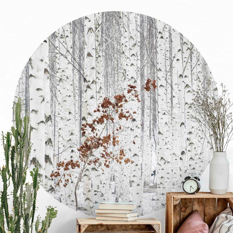 

Papel pintado redondo autoadhesivo - Birch Trees In Autumn Dimensión LxA: 122cm x 122cm