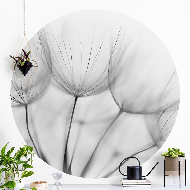 

Papel pintado redondo autoadhesivo - Inside A Dandelion Black And White Dimensión LxA: 122cm x 122cm