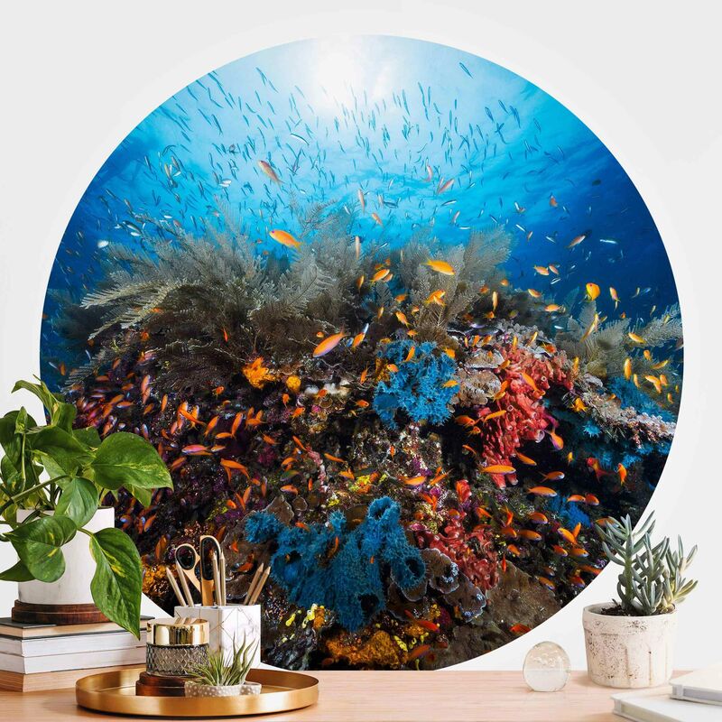 

Papel pintado redondo autoadhesivo - Lagoon Underwater Dimensión LxA: 225cm x 225cm