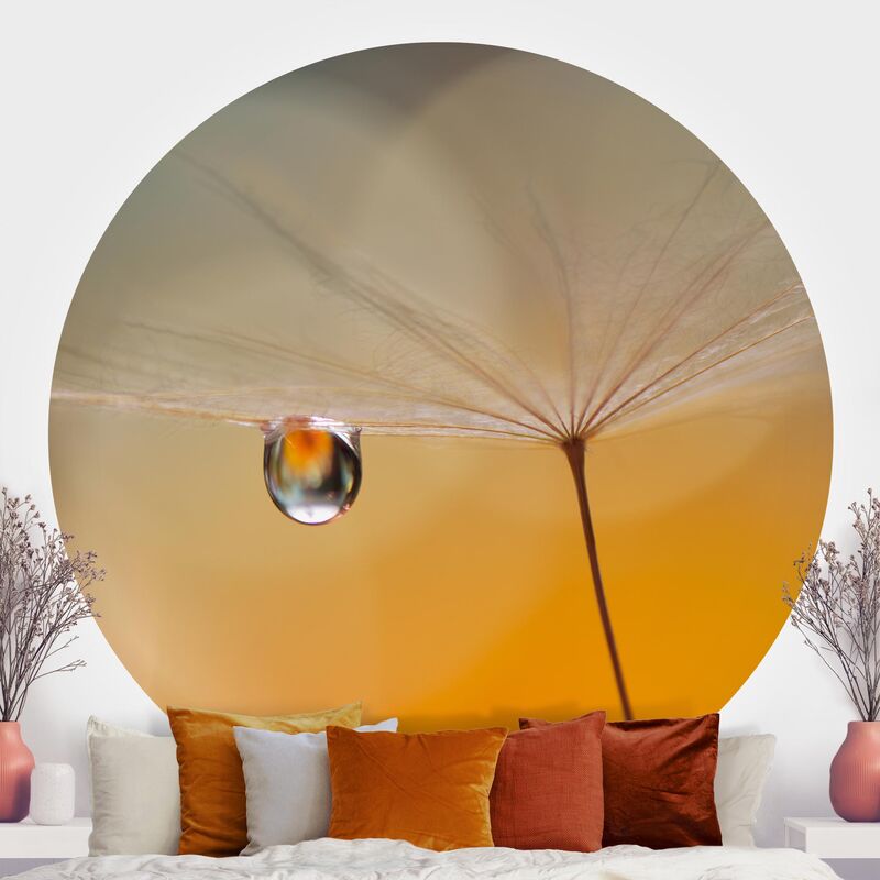 

Papel pintado redondo autoadhesivo - Dandelion In Orange Dimensión LxA: 200cm x 200cm