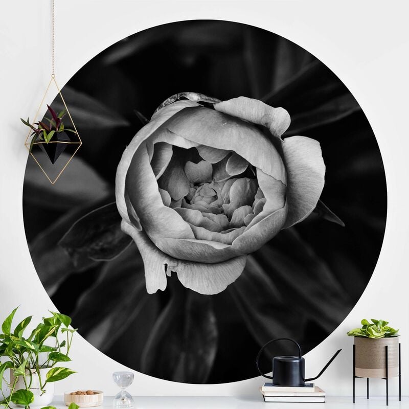 

Papel pintado redondo autoadhesivo - Peonies Blossom In Front Of Leaves Black And White Dimensión LxA: 75cm x 75cm