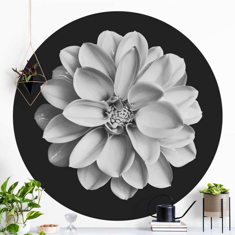 

Papel pintado redondo autoadhesivo - Delicate Dahlia In Black And White Dimensión LxA: 75cm x 75cm