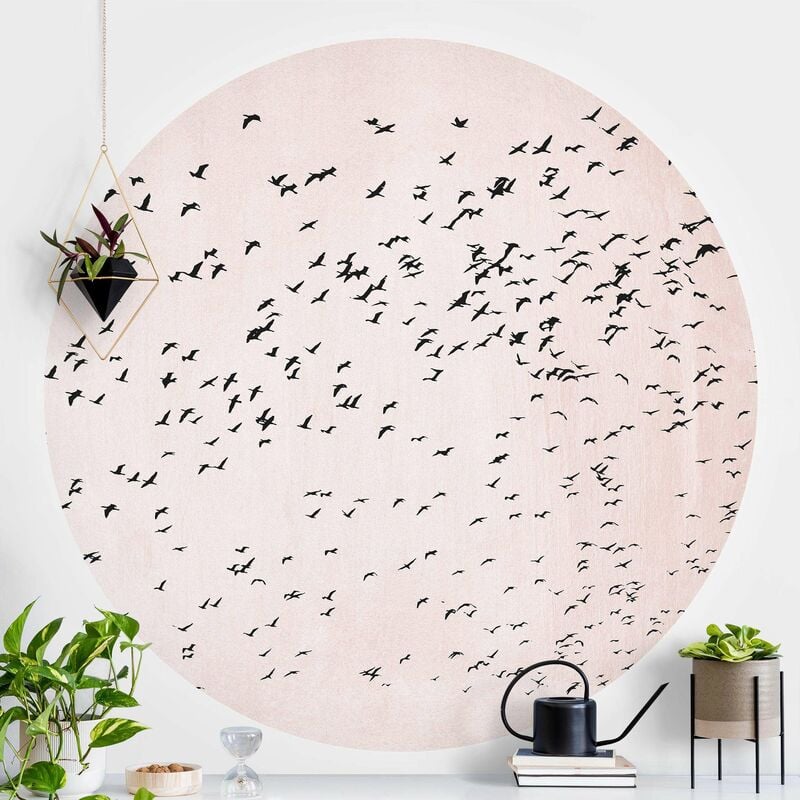 

Papel pintado redondo autoadhesivo - Flock Of Birds In The Sunset Dimensión LxA: 244cm x 244cm