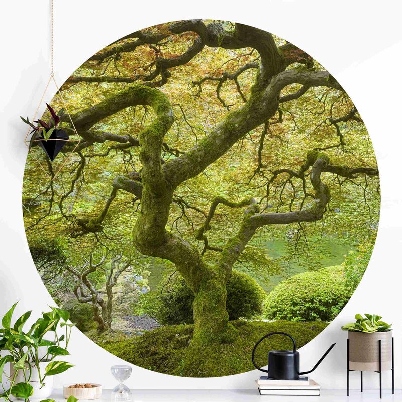 

Papel pintado redondo autoadhesivo - Green Japanese Garden Dimensión LxA: 225cm x 225cm