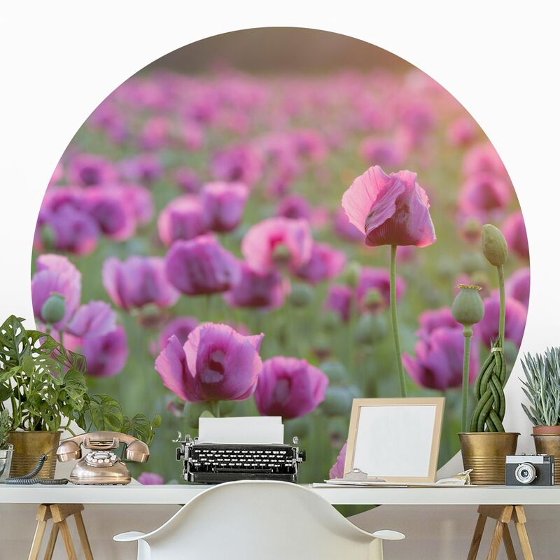 

Papel pintado redondo autoadhesivo - Purple Poppy Flower Meadow In Spring Dimensión LxA: 122cm x 122cm