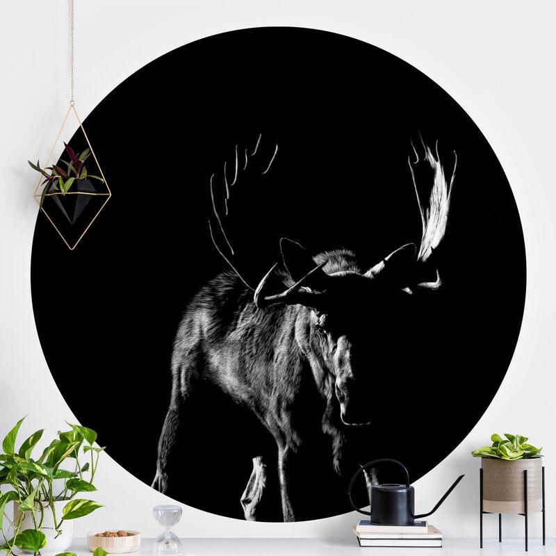 

Papel pintado redondo autoadhesivo - Bull In The Dark Dimensión LxA: 75cm x 75cm