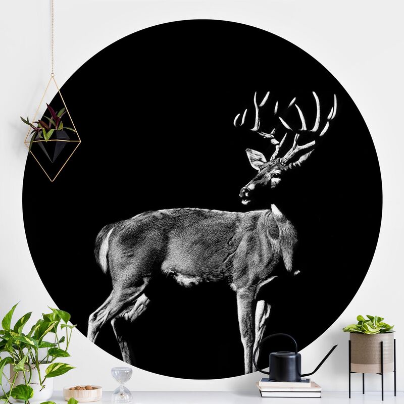 

Papel pintado redondo autoadhesivo - Deer In The Dark Dimensión LxA: 75cm x 75cm