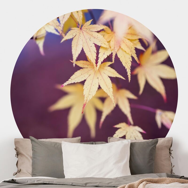

Papel pintado redondo autoadhesivo - Autumn Maple Tree Dimensión LxA: 50cm x 50cm